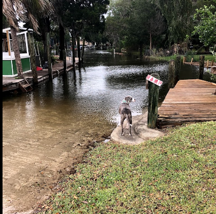 Ozello Keys Marina and RV Resort