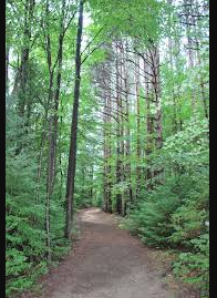 Proud Lake State Recreation Area