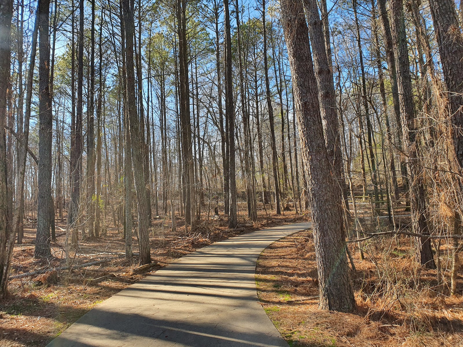 Suwanee Creek Park