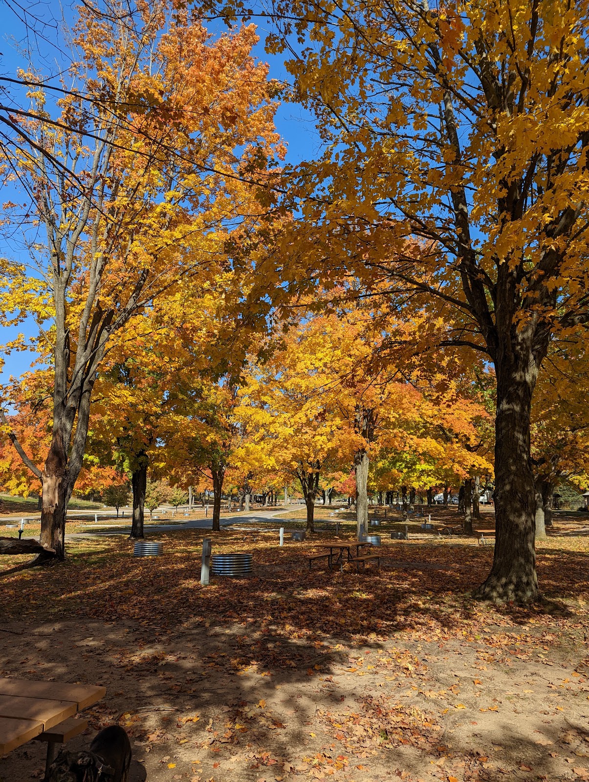 Orchard Beach State Park