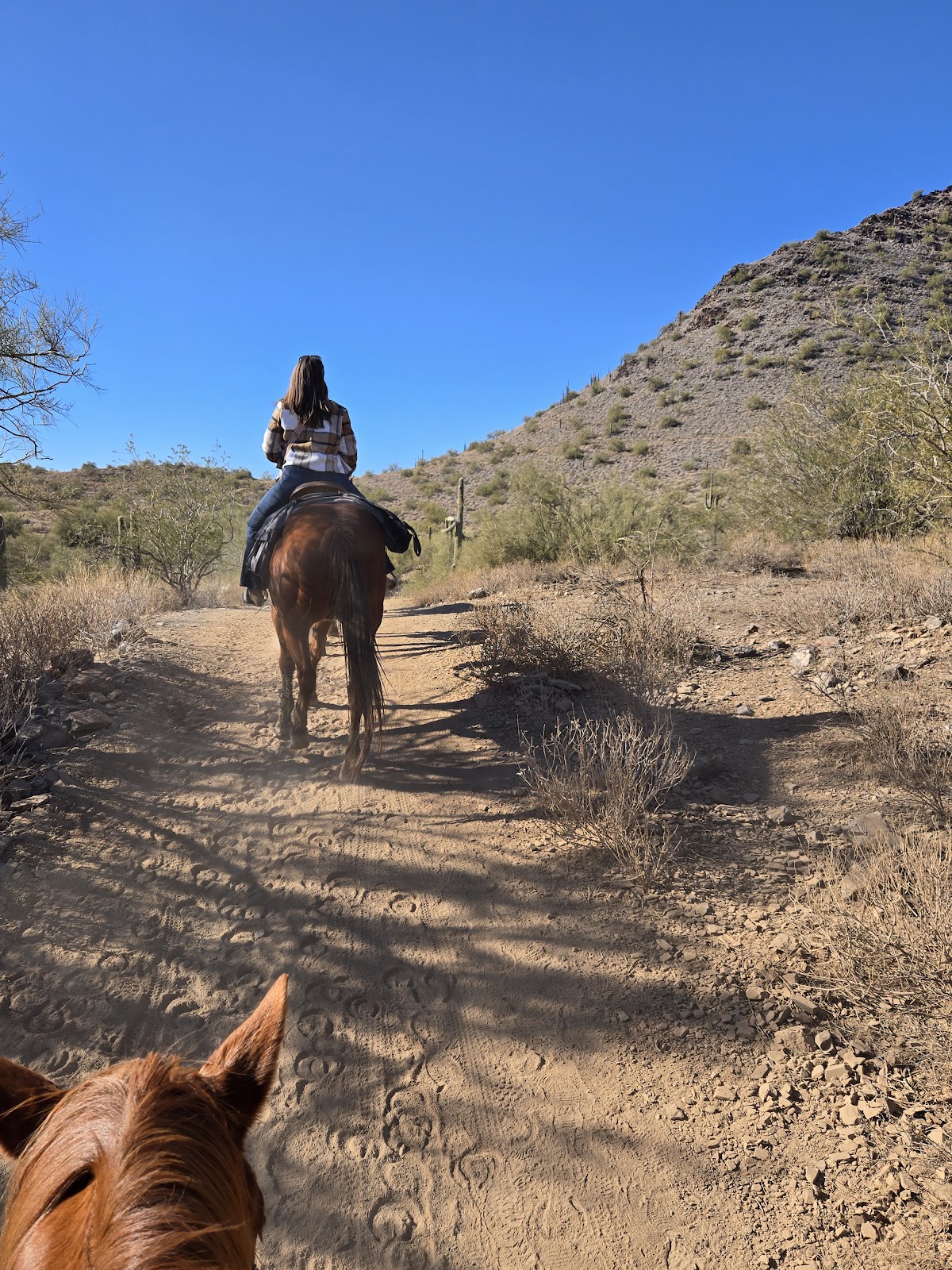 Cave Creek Regional Park