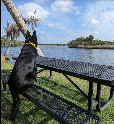Ramblers Rest Resort Campground