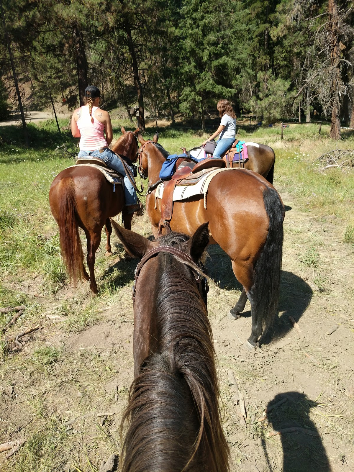 Elk Creek Campground