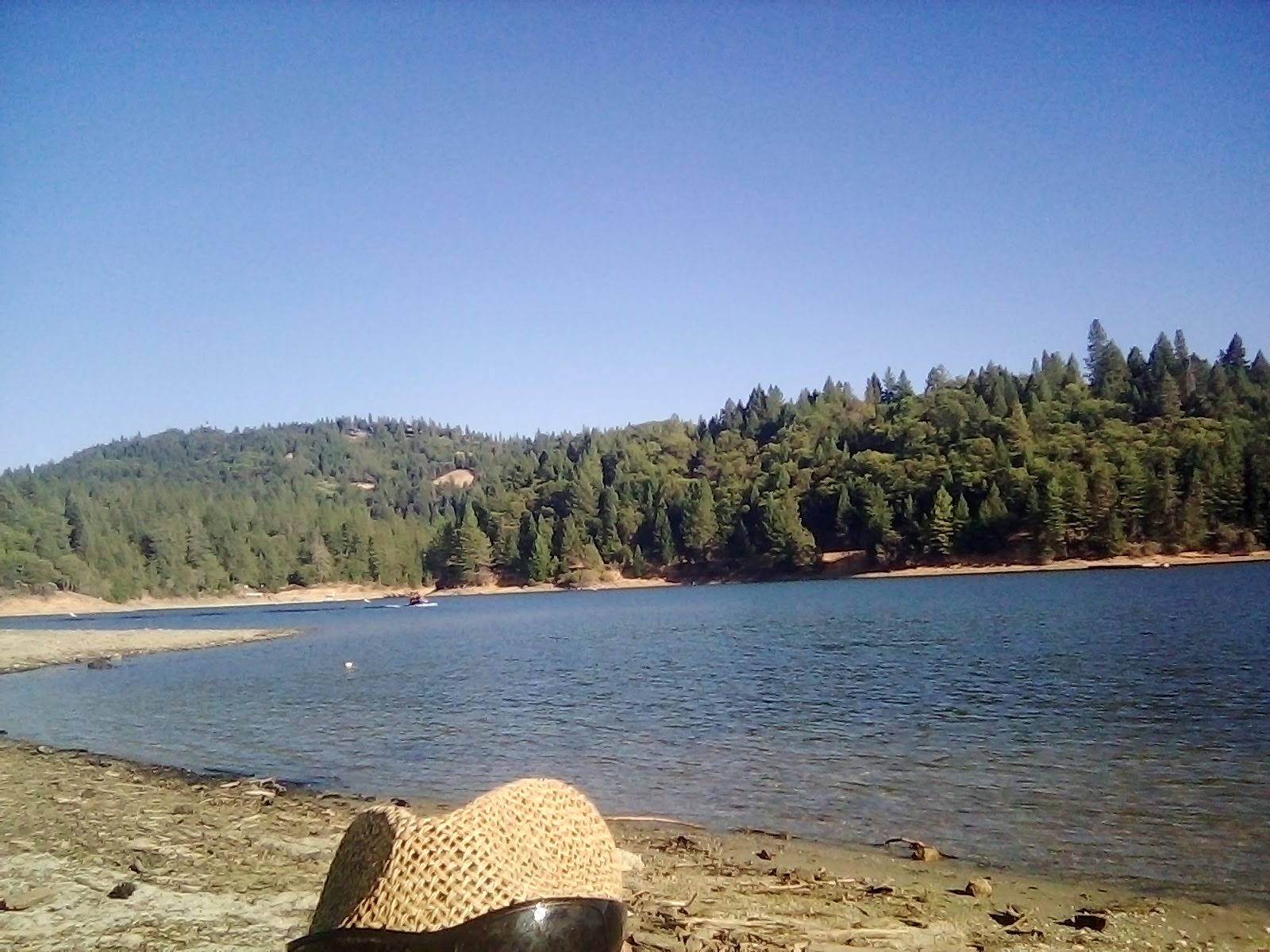 Orchard Springs