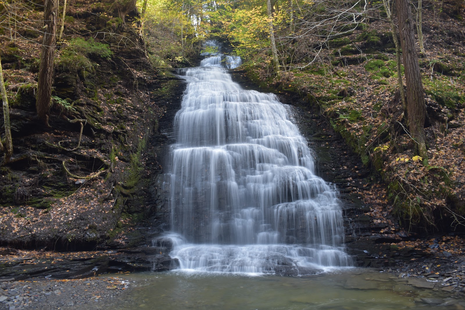 Fillmore Glen State Park