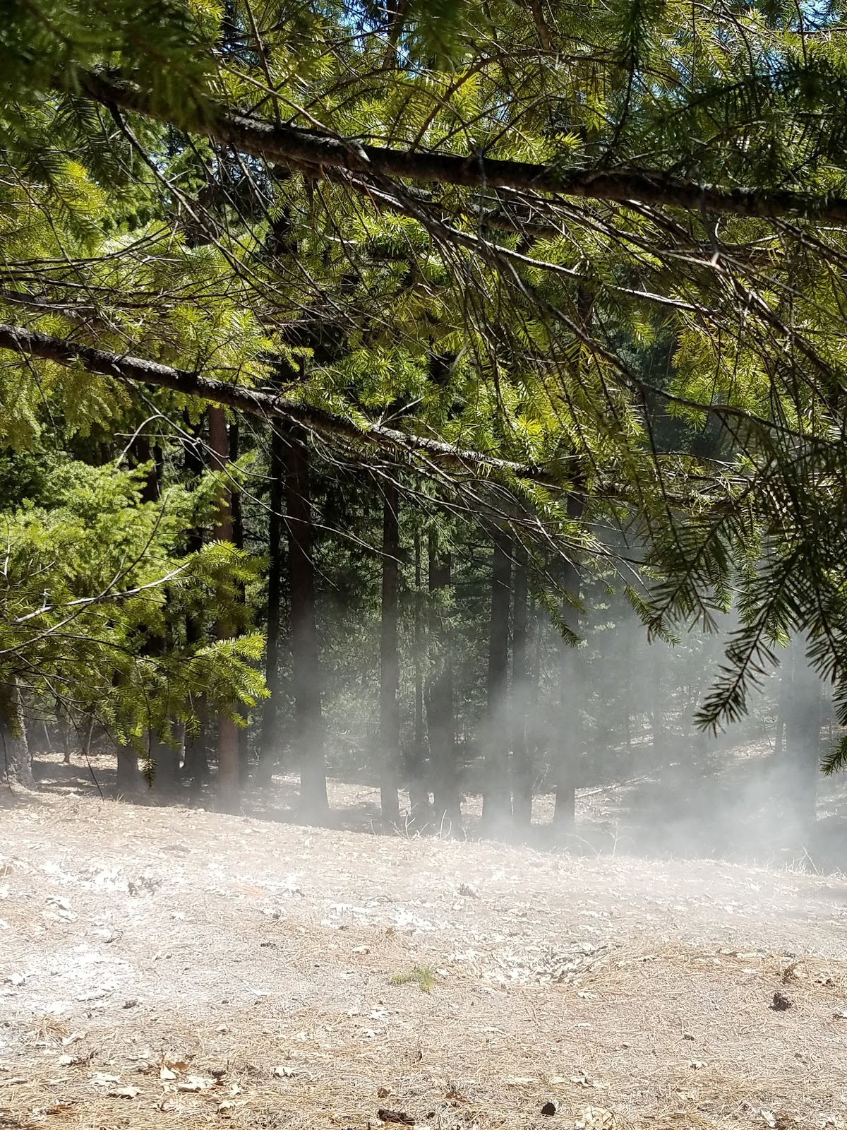 Whitlock Campground