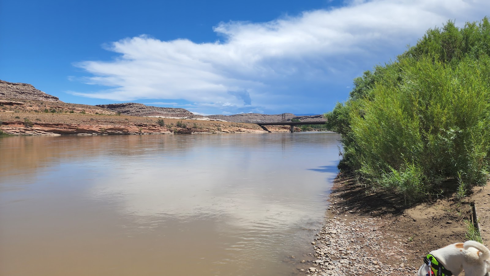 Dewey Bridge Campground