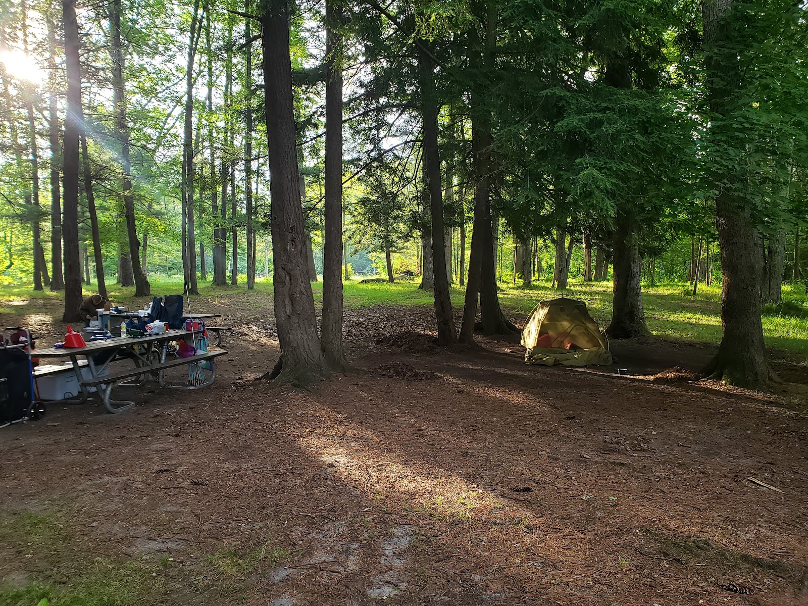Gleasons Landing NF Campground